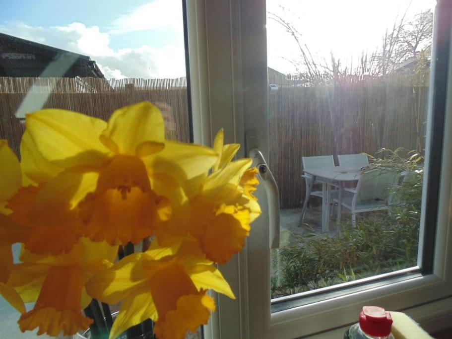 Tiny For Couples In The Countryside Apartment Shalfleet